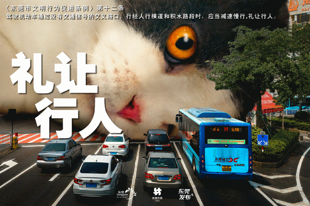 制定篮球交流计划以促进个人技能发展的方法_0